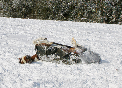 Winter auf dem Heiderhof